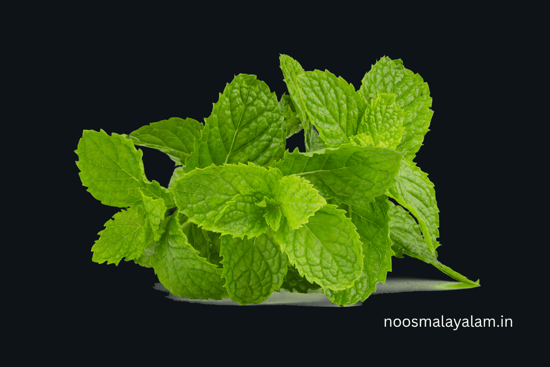 mint
