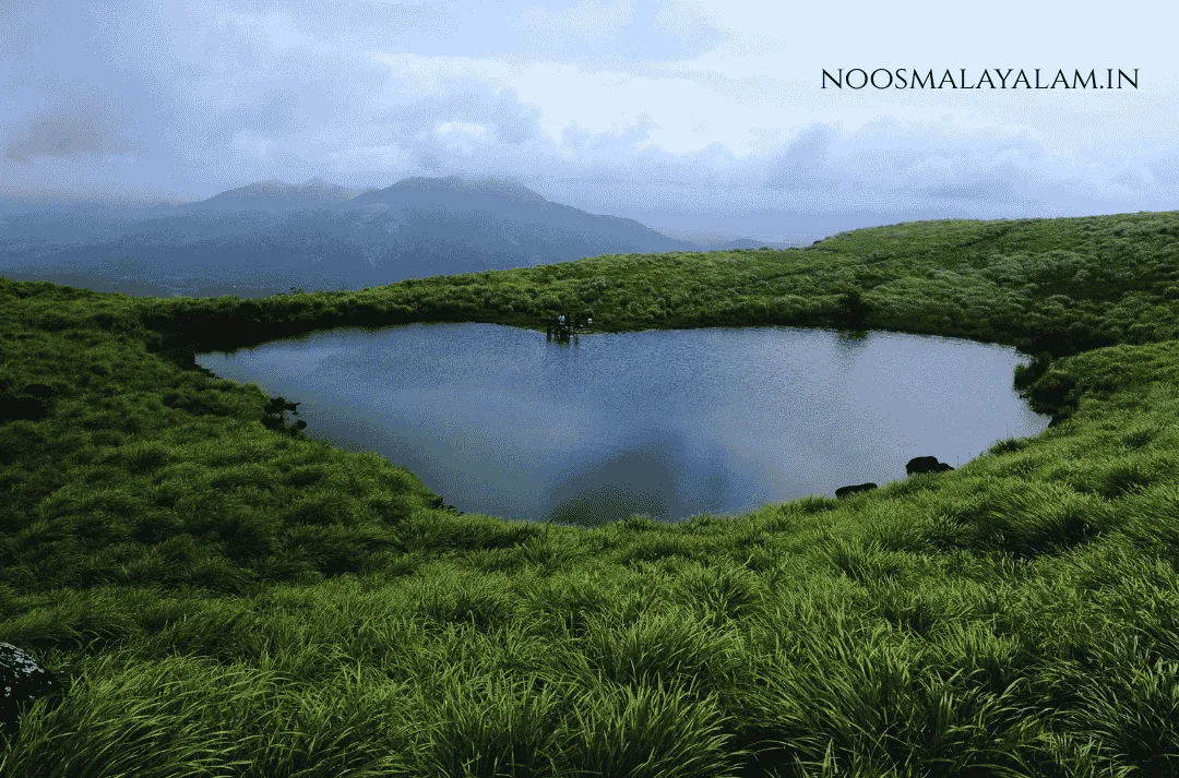 wayanad