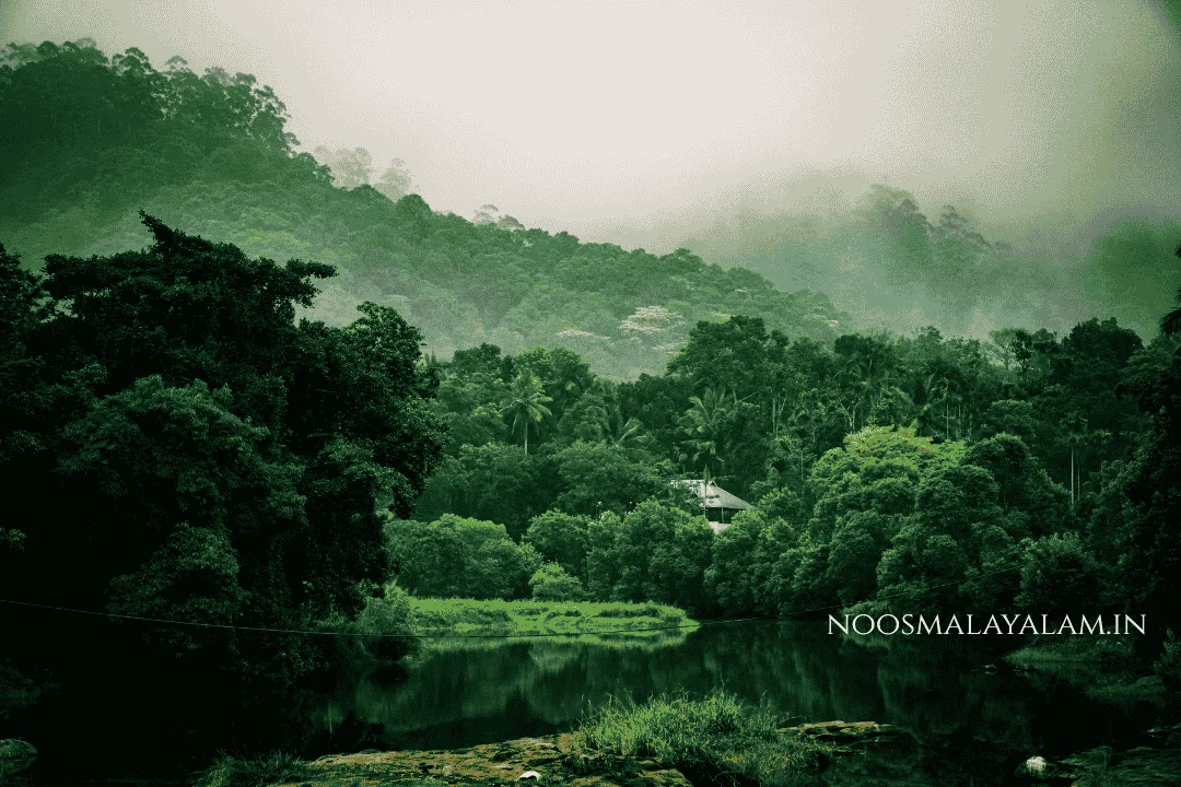 thekkady