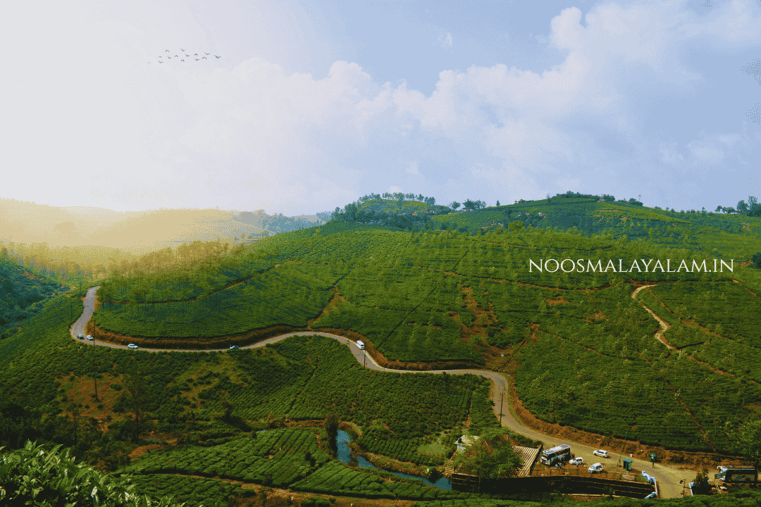 Vagamon