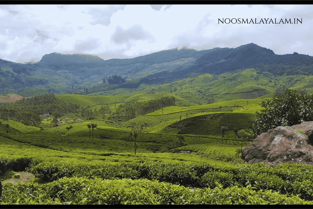 munnar
